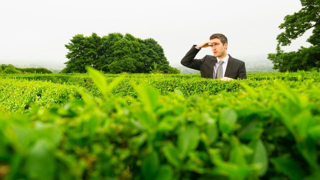 Navigating the Tax Landscape: Strategies for High Earners