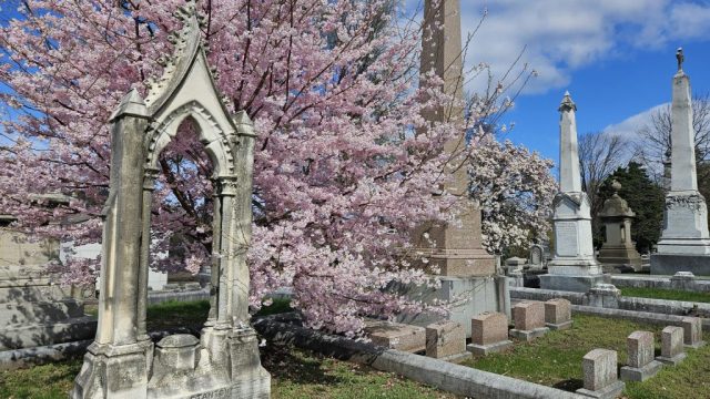 Exploring Laurel Hill: A Historic Haven Beyond the Grave