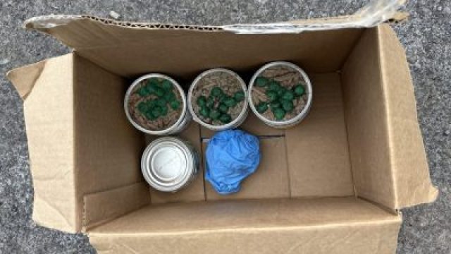 Contaminated Pet Food Raises Alarms in Dryden Community