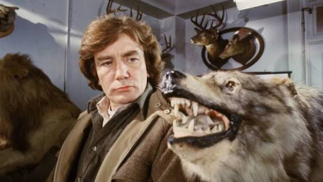 Discover Hidden Gems: Must-See Werewolf Films You Might Overlook
