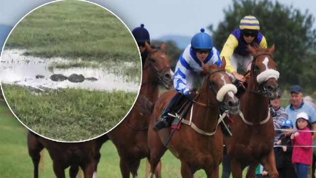 Severe Flooding Disrupts Big Isle Horse Racing Event: What's Next?