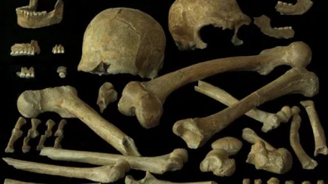 New Insights on Neanderthal Extinction Challenge Past Theories