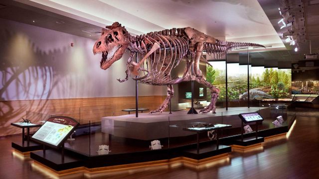 Bank of America Cardholders Enjoy Free Museum Access This Weekend